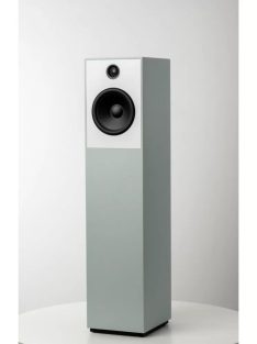 Guru Audio Guru 20