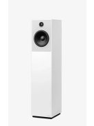 Guru Audio Guru 20