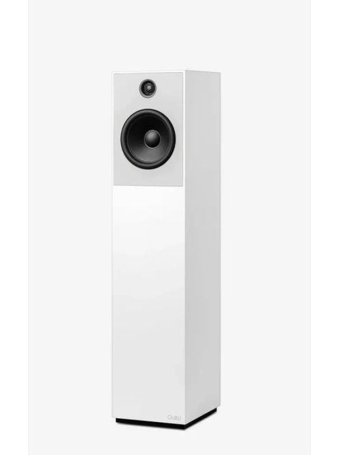 Guru Audio Guru 20