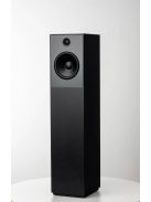 Guru Audio Guru 20