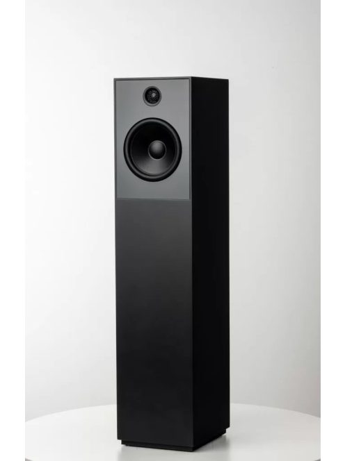 Guru Audio Guru 20