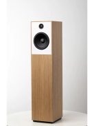 Guru Audio Guru 20