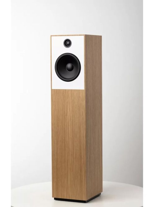 Guru Audio Guru 20