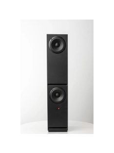 Guru Audio Guru 28
