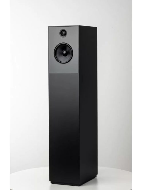 Guru Audio Guru 28