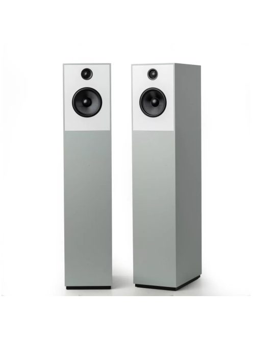 Guru Audio Guru 28