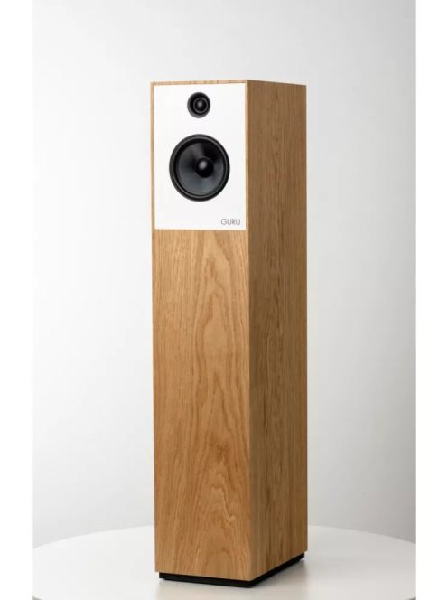 Guru Audio Guru 28