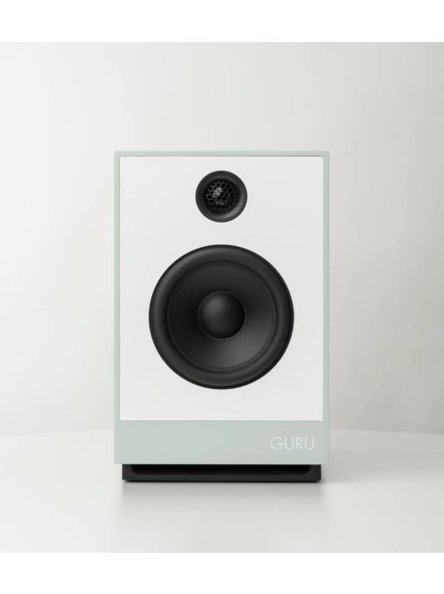 Guru Audio Guru 8