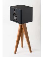 Guru Audio Q10