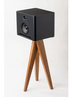 Guru Audio Q10