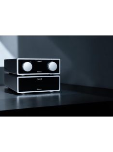 Heed Audio Thesis Gamma