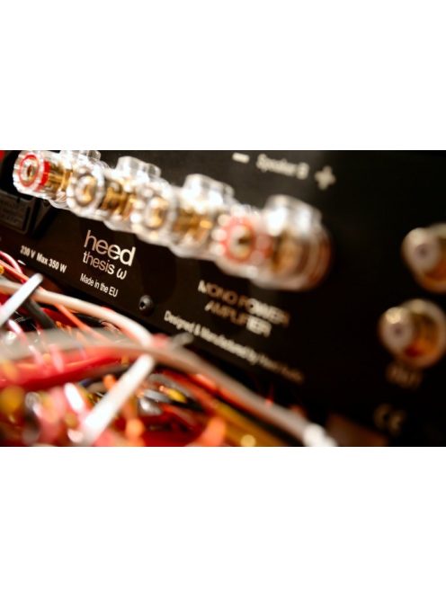 Heed Audio Thesis Omega