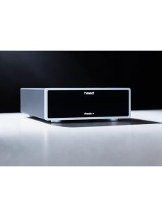 Heed Audio Thesis Pi