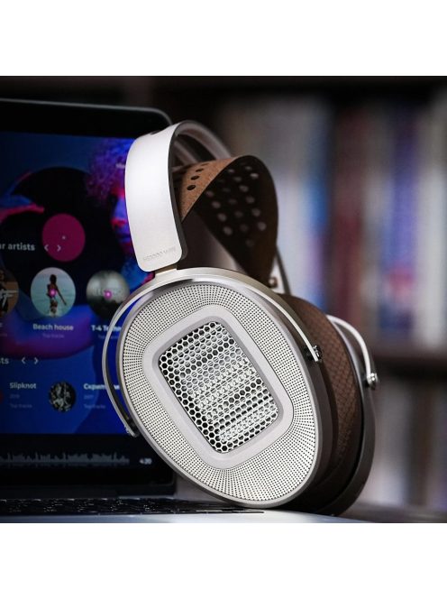 Hifiman HE1000 Wifi