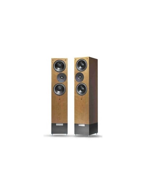 Living Voice Avatar R4