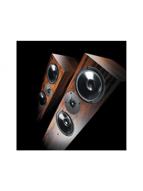 Living Voice Avatar R4