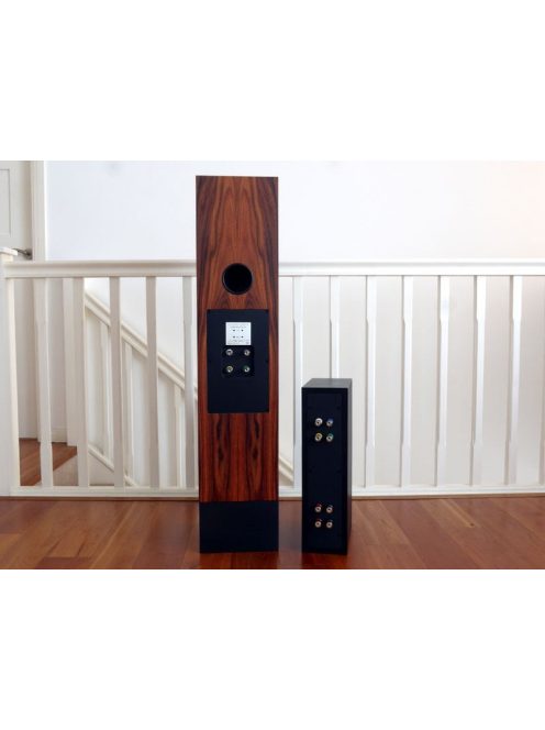 Living Voice OBX-RW4