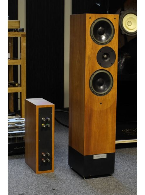 Living Voice OBX-RW4