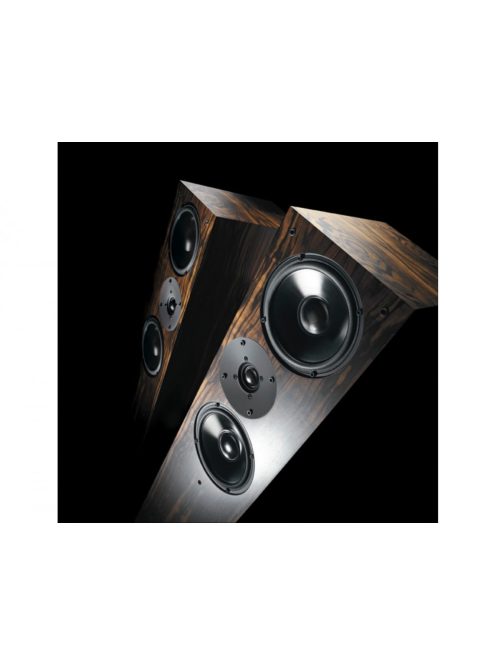 Living Voice OBX-RW4