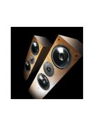 Living Voice IBX-RW4
