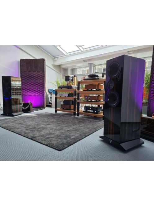 Living Voice R80