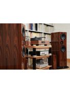 Living Voice R80