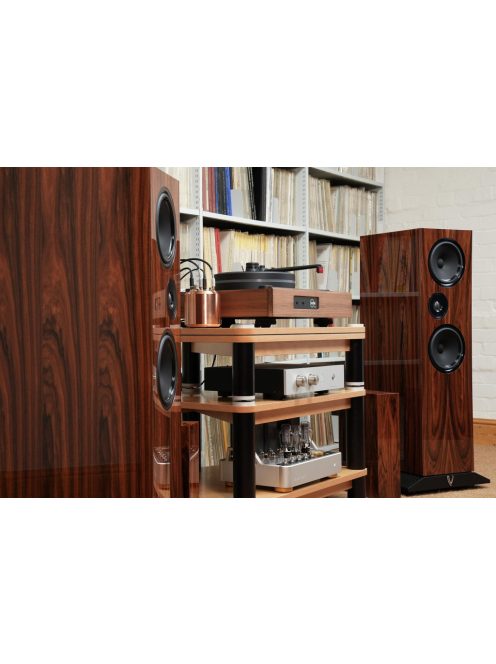 Living Voice R80