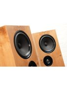 Living Voice R80
