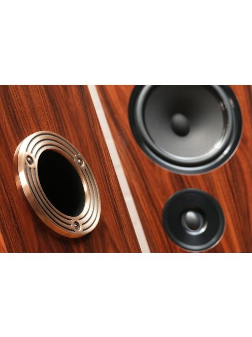 Living Voice R80