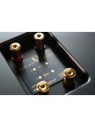 Living Voice R80