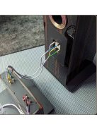 Living Voice R80