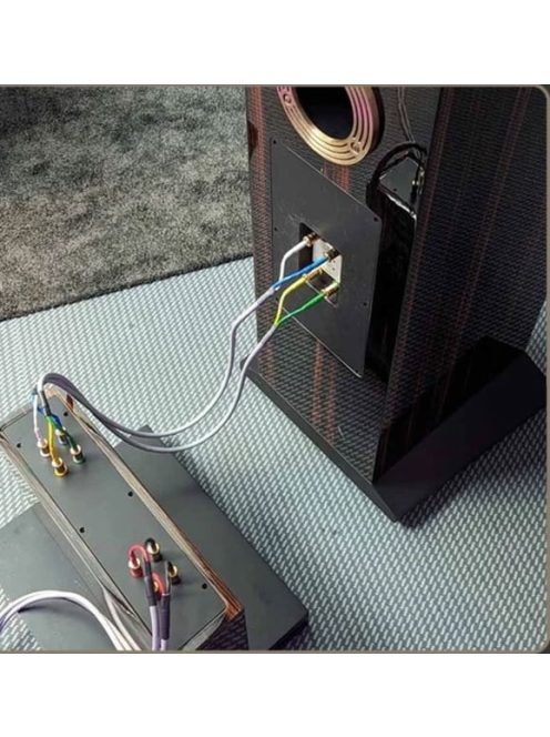 Living Voice R80