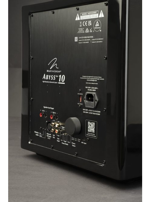Martin Logan Abyss 10
