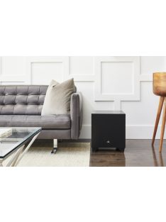 Martin Logan DYNAMO 1100x
