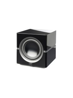 Martin Logan Dynamo 10