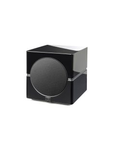 Martin Logan Dynamo 10