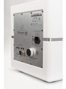 Martin Logan Dynamo 10