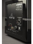 Martin Logan Dynamo 12