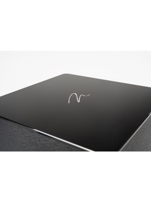 Martin Logan Dynamo Foundation 12