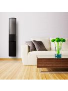 Martin Logan EFX