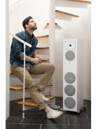 Martin Logan Motion Foundation F2
