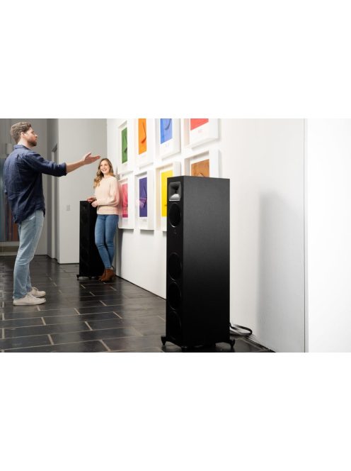 Martin Logan Motion Foundation F2