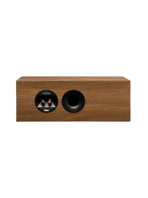 Martin Logan Motion Foundation C1