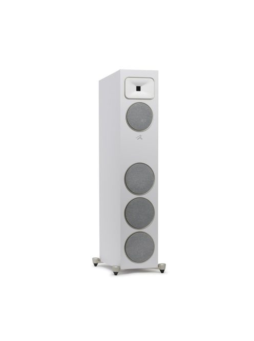 Martin Logan Motion Foundation C1