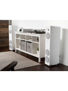 Martin Logan Motion F10