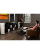 Martin Logan Motion F10