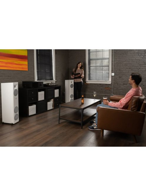 Martin Logan Motion F10