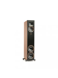 Martin Logan Motion F20