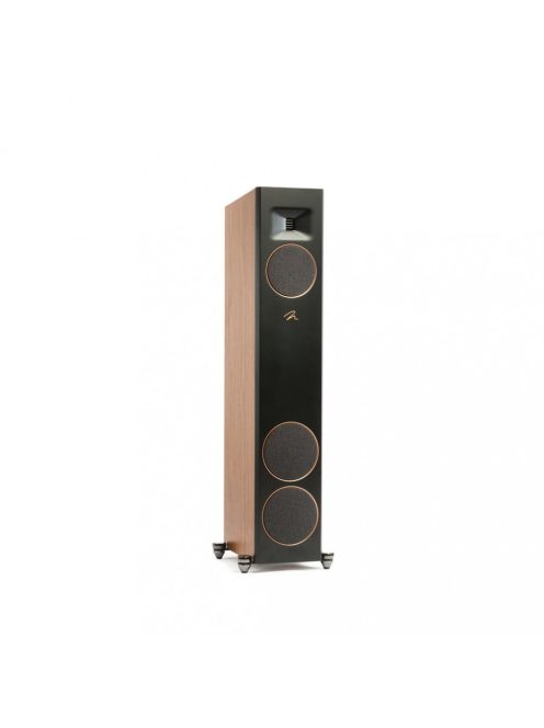 Martin Logan Motion F20