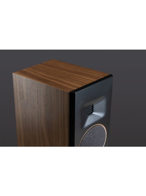 Martin Logan Motion F20